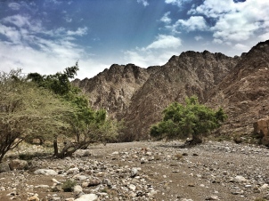 Roadtrip, Jebel Shams, Oman